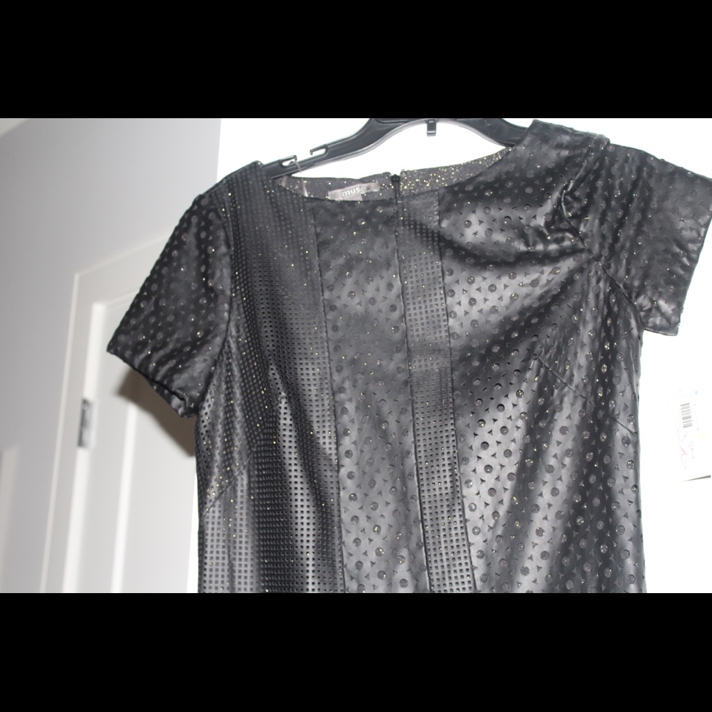 Muse Black Leather Dress